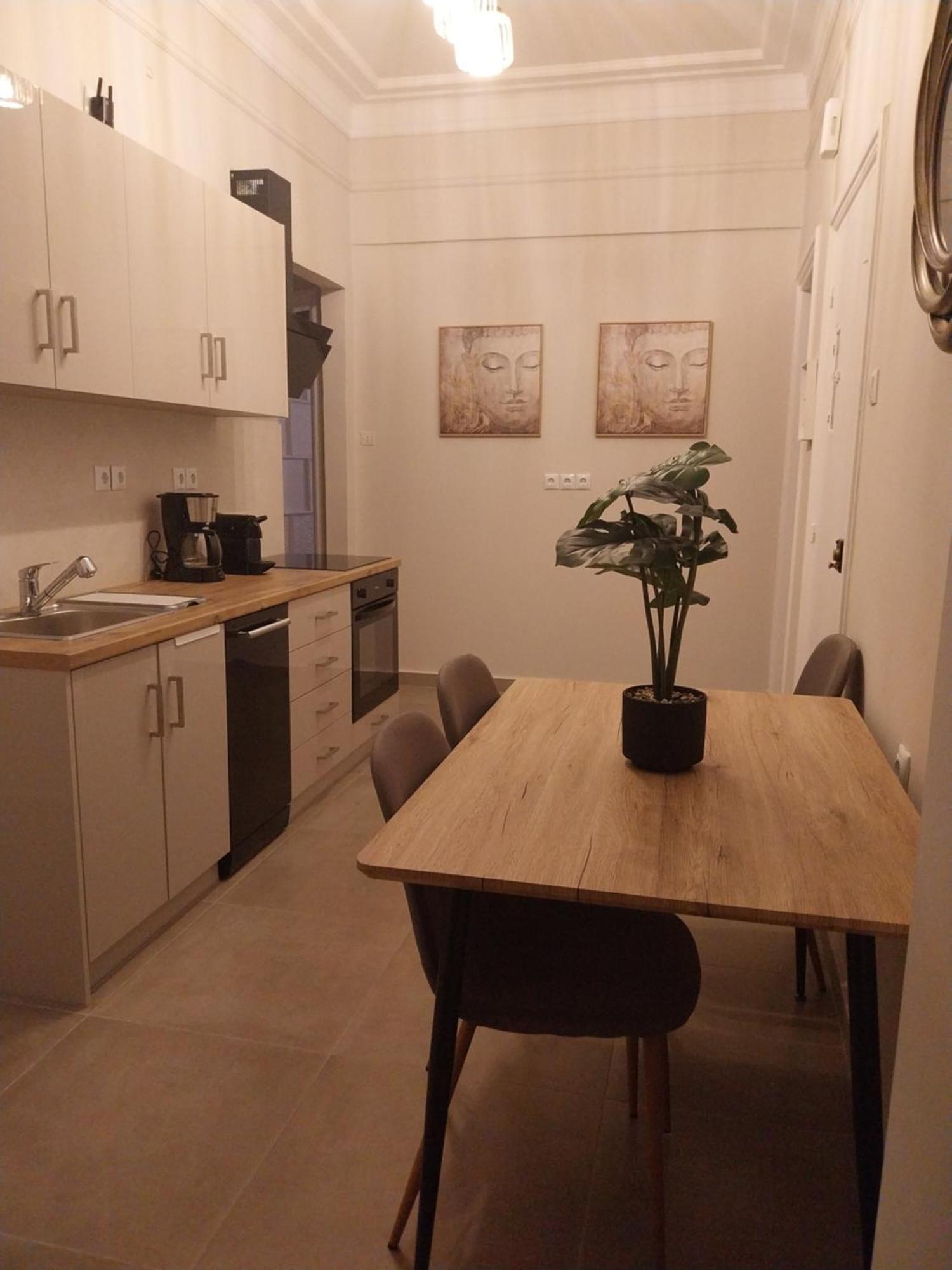 Athens Lovely Apartment Εξωτερικό φωτογραφία